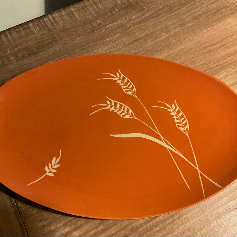 ⭐️Plater Made by Tag. New